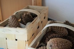 Krippe Projektraum