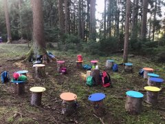 Titel Wald