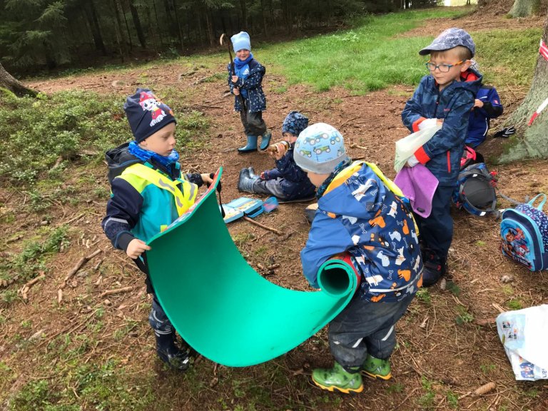 Wald 6