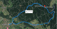 Forststraße Regenufer Abkürzung